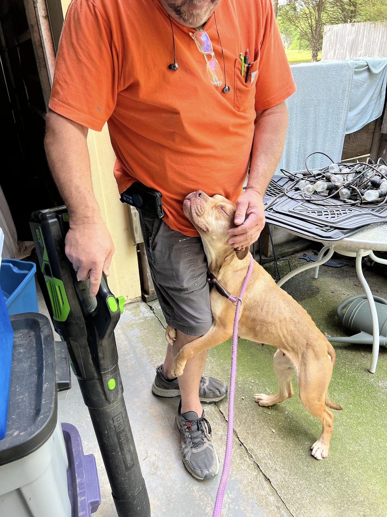 owner and brown dog