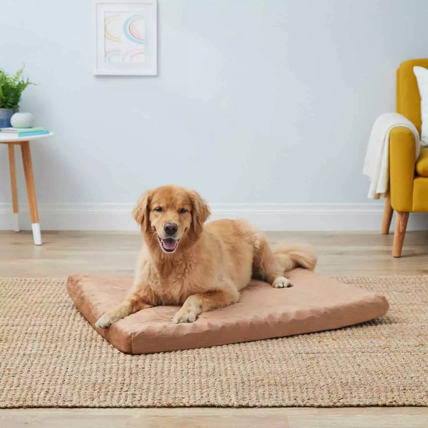 Petmaker Memory Foam Dog Bed