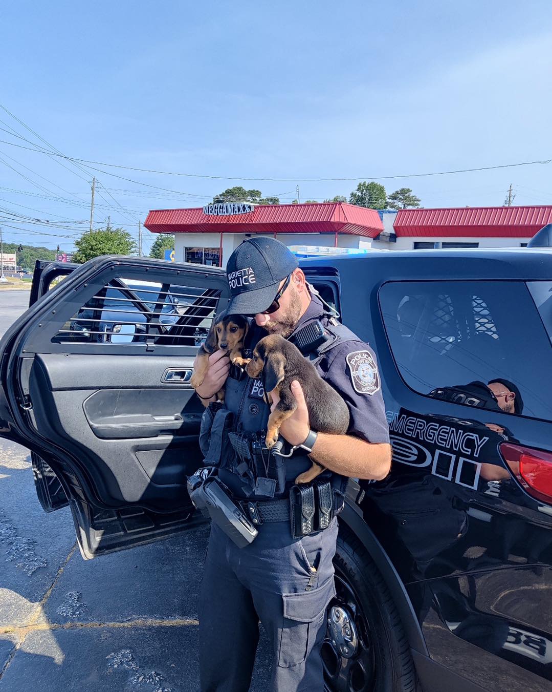 photo of an officer holding two runaway puppies