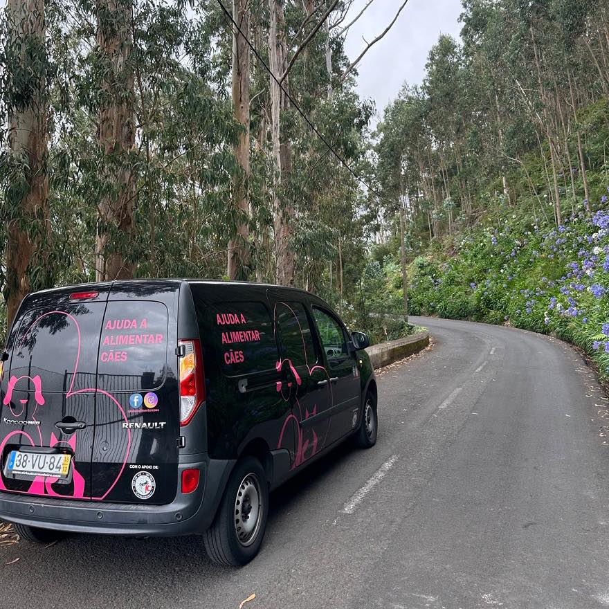 photo of black van on a road