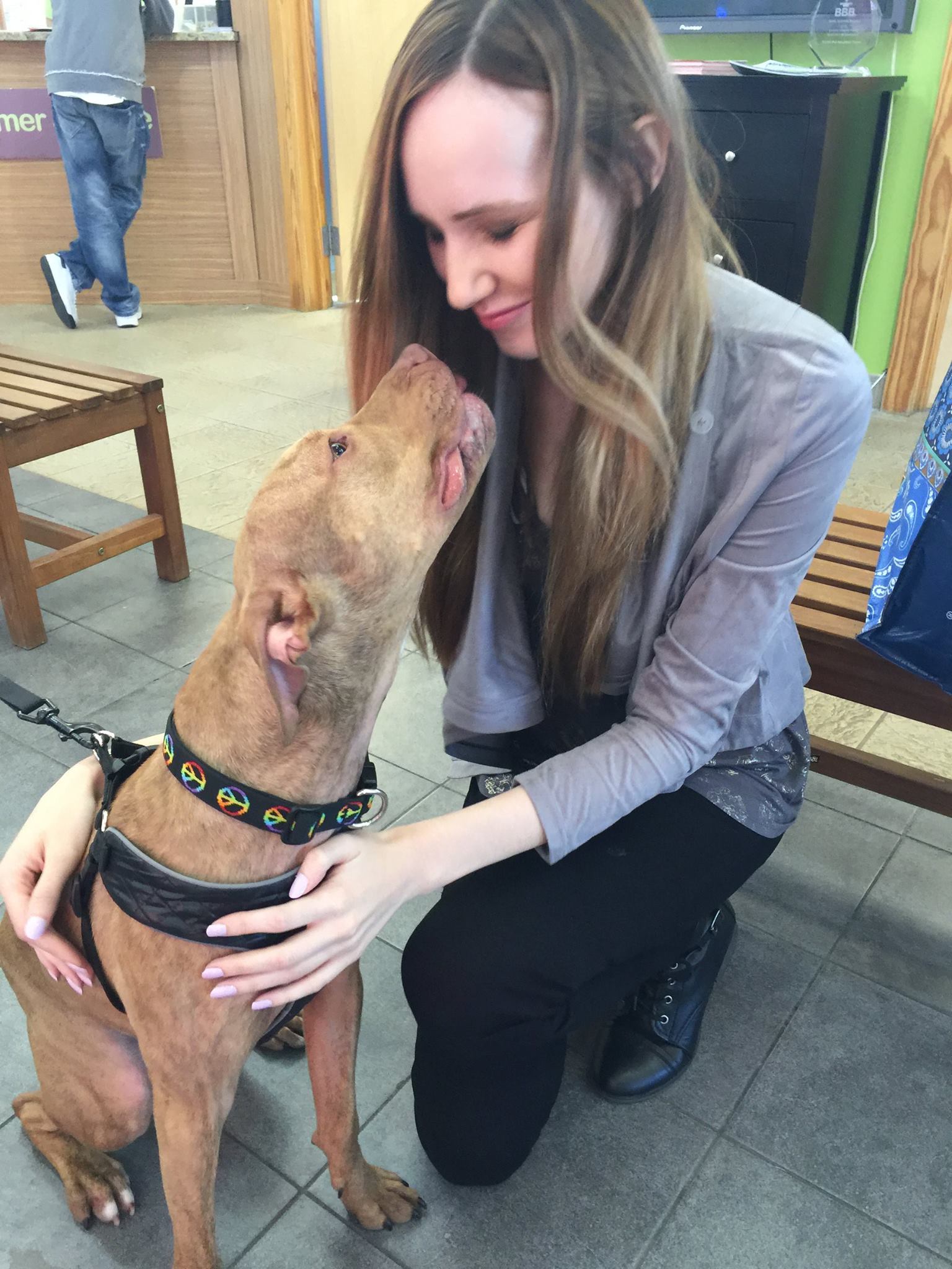 photo of pitbull rush and a woman