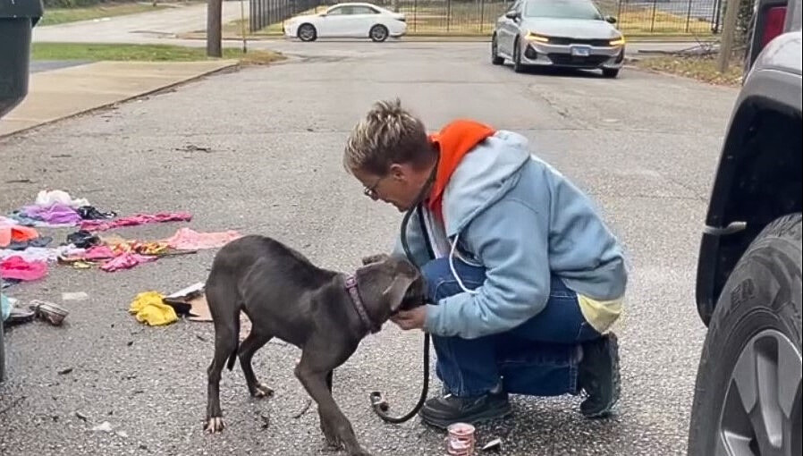 photo of woman and dog in the street