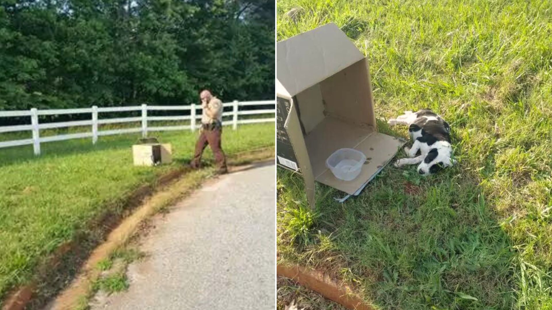 Police Officer Stopped When He Noticed A Cardboard Box Near The Road So He Investigated It