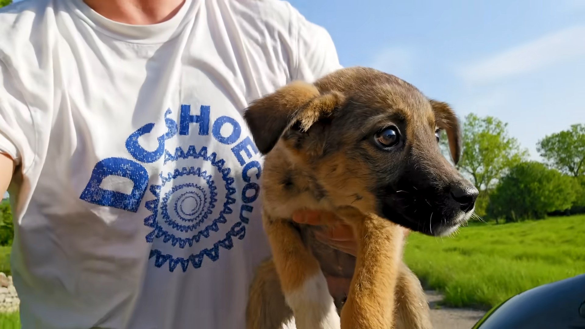 rescuer holding a scared puppy