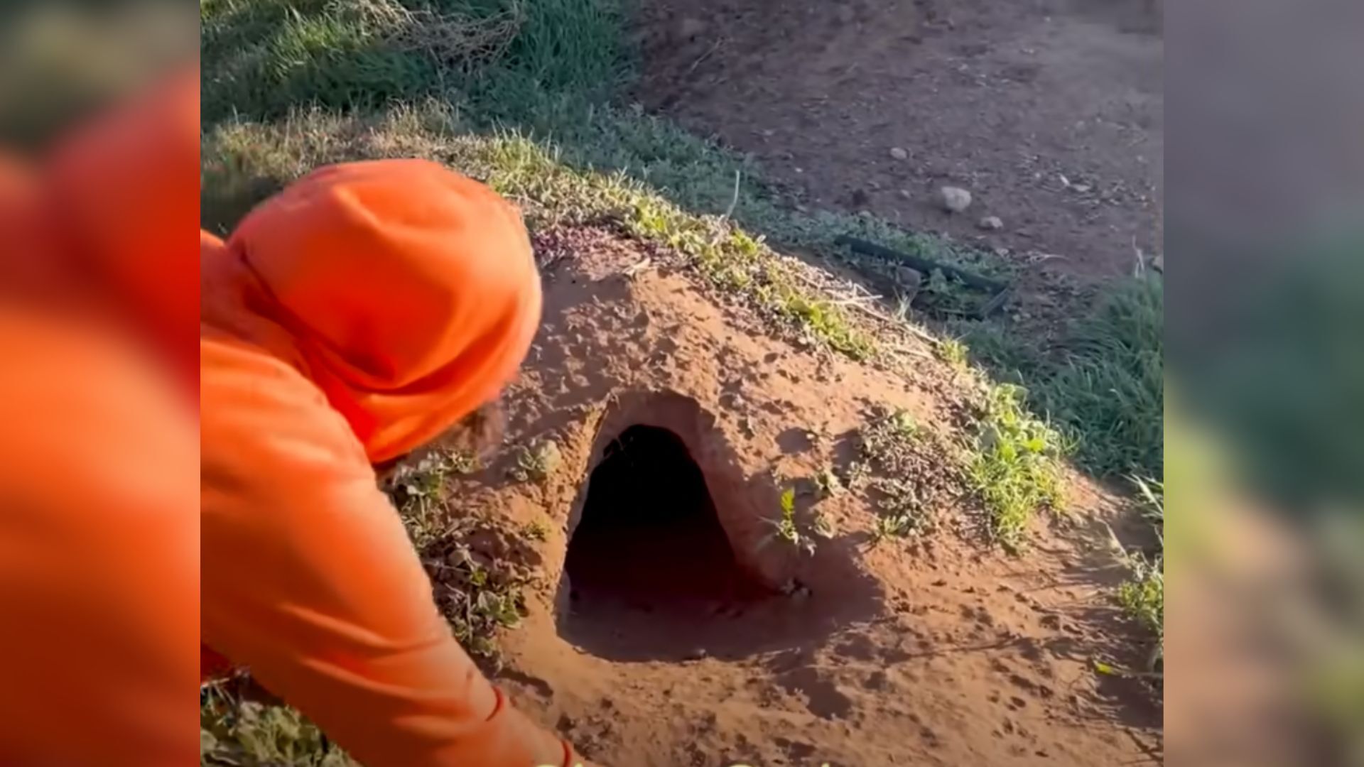 Rescuers Discover Big Furry Family Hiding In Hole, Then Use Clever Strategy To Save Them