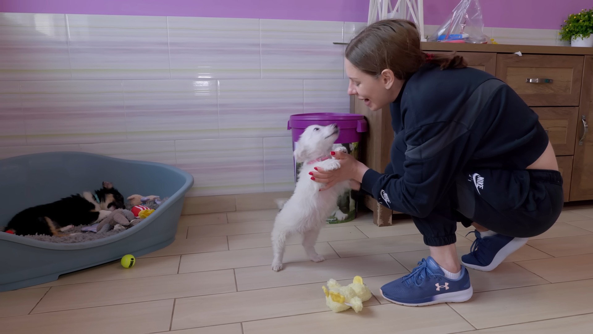 smiling girl petting a white puppy