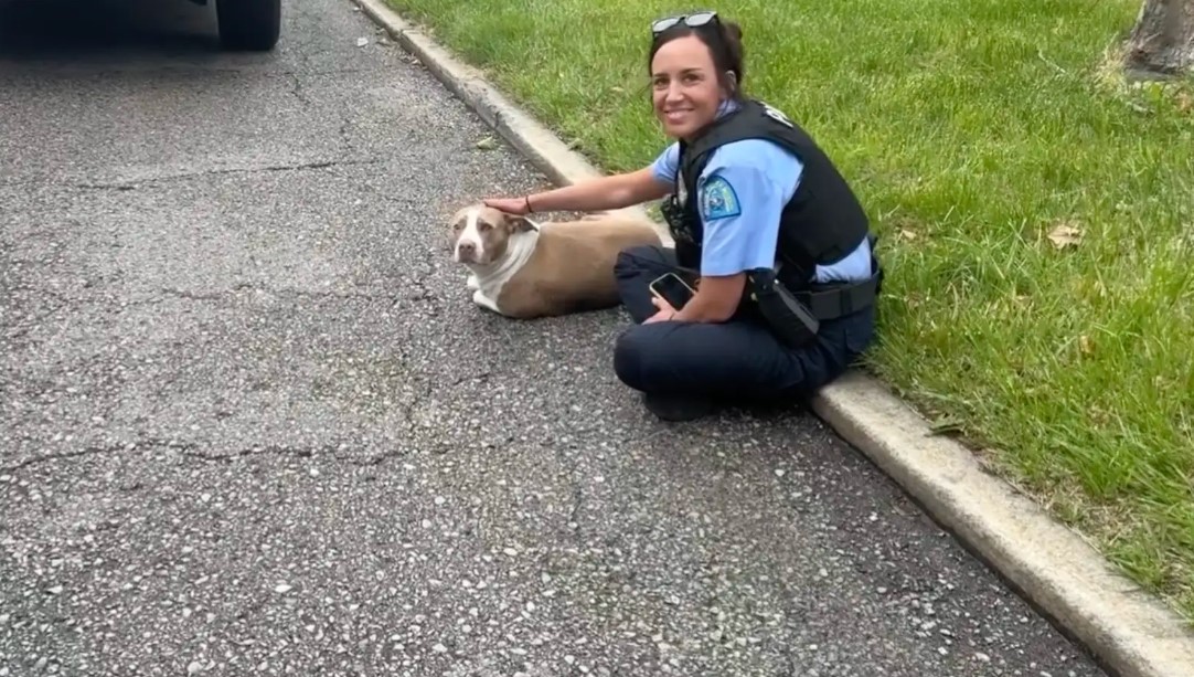 smiling woman with dog on the road