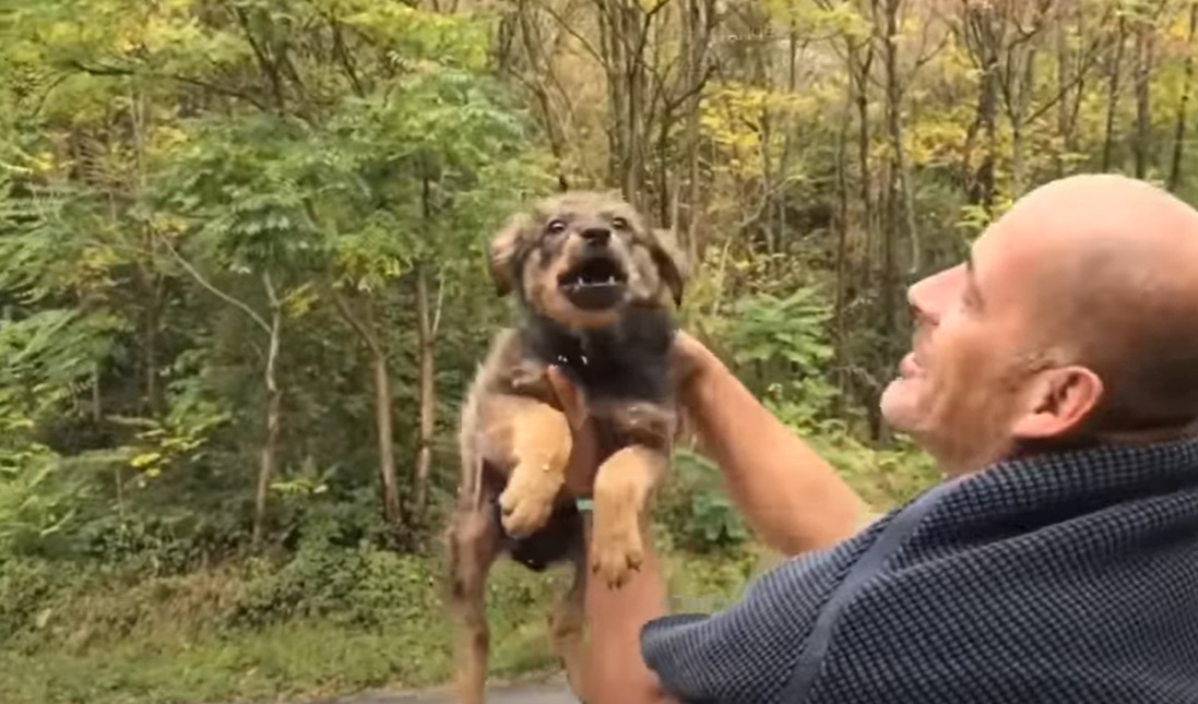 the man was happy with the dog and picked it up in his arms