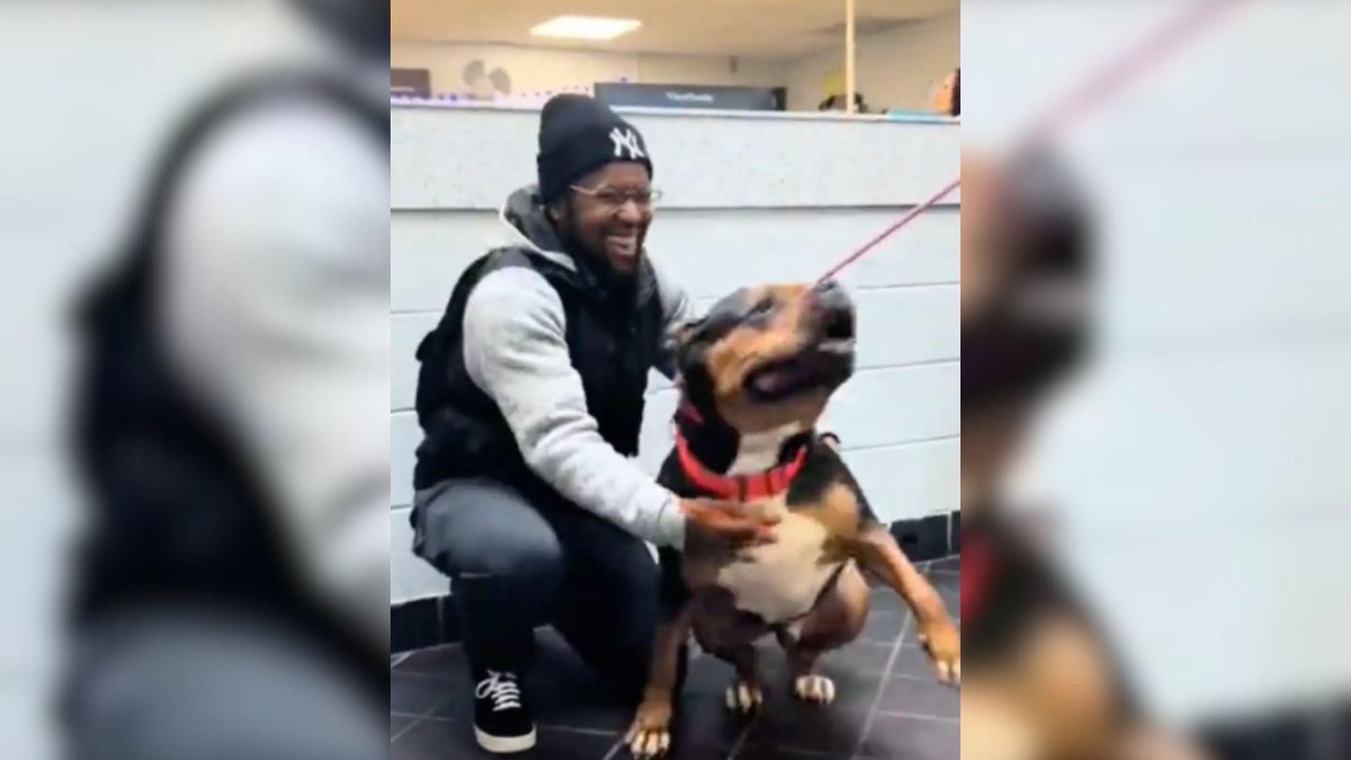 Missing Pup Rejoiced When He Was Finally Reunited With His Owner After Not Seeing Him For Weeks