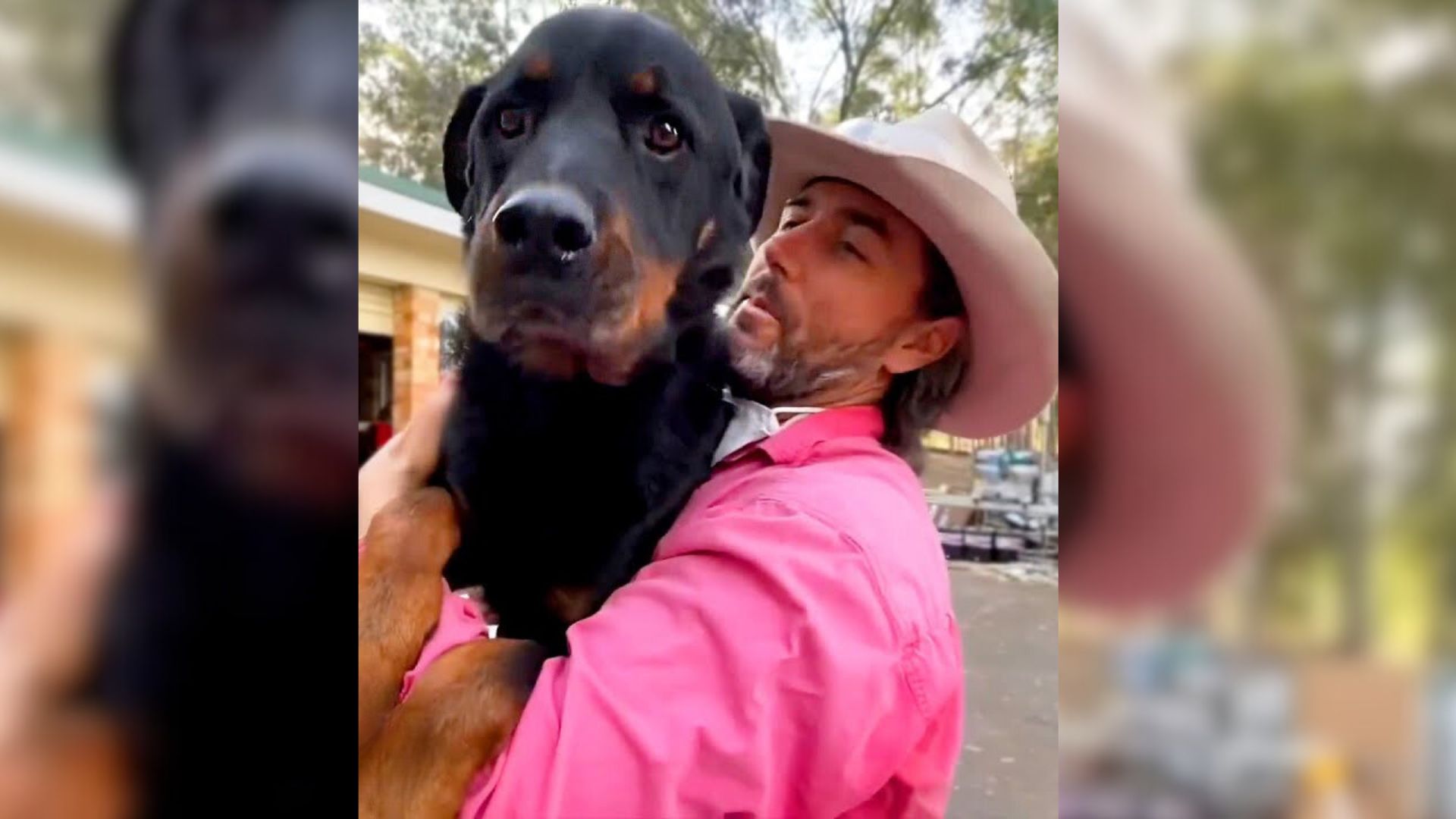 Dog Who Lost Faith In Humans Finally Meets Someone Who Showed Him What Love Feels Like