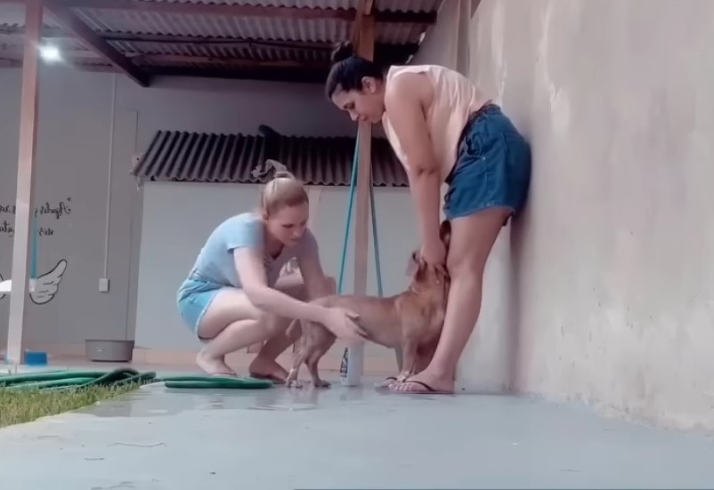 two women and dog