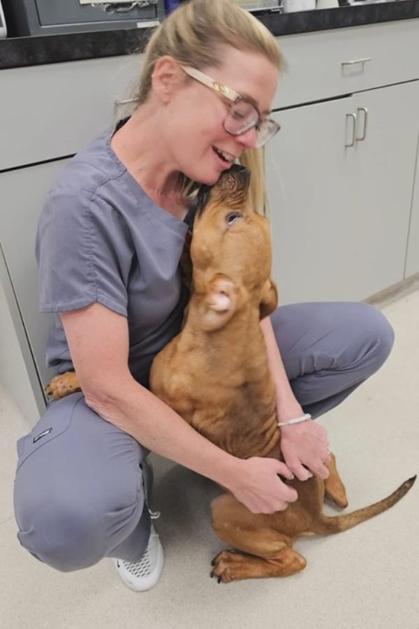 vet and very cute puppy