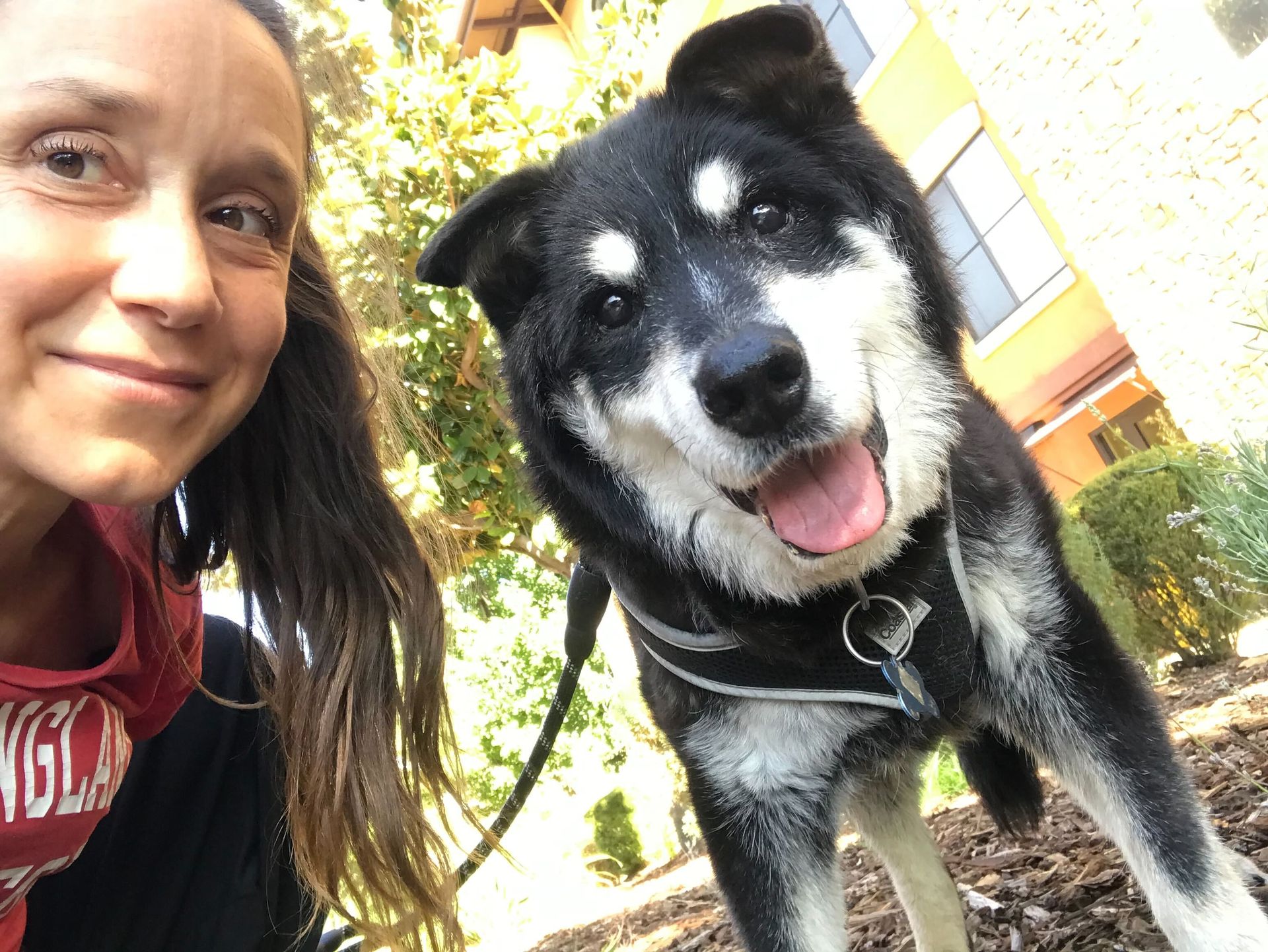 woman and a dog