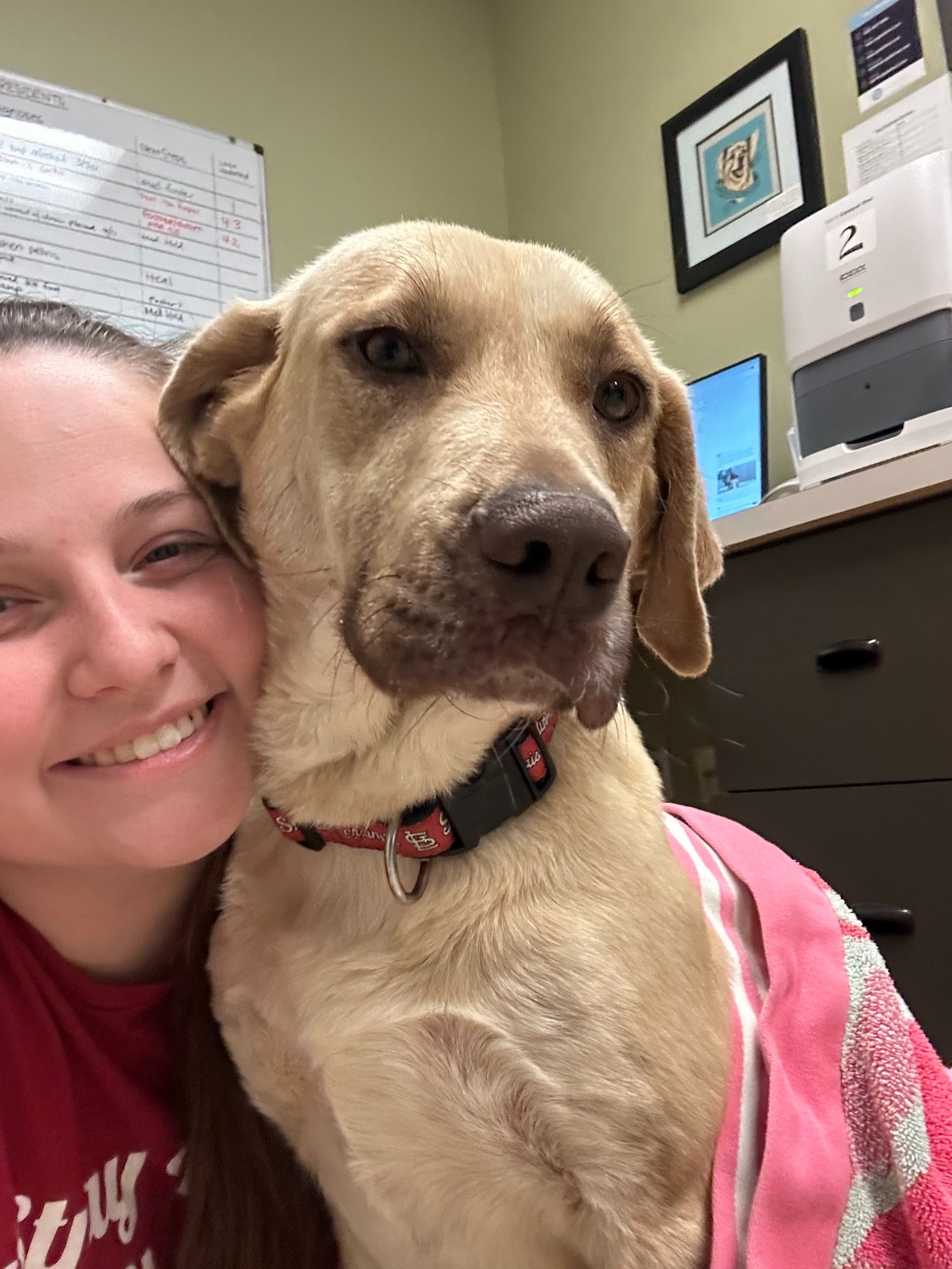 woman and beautiful dog