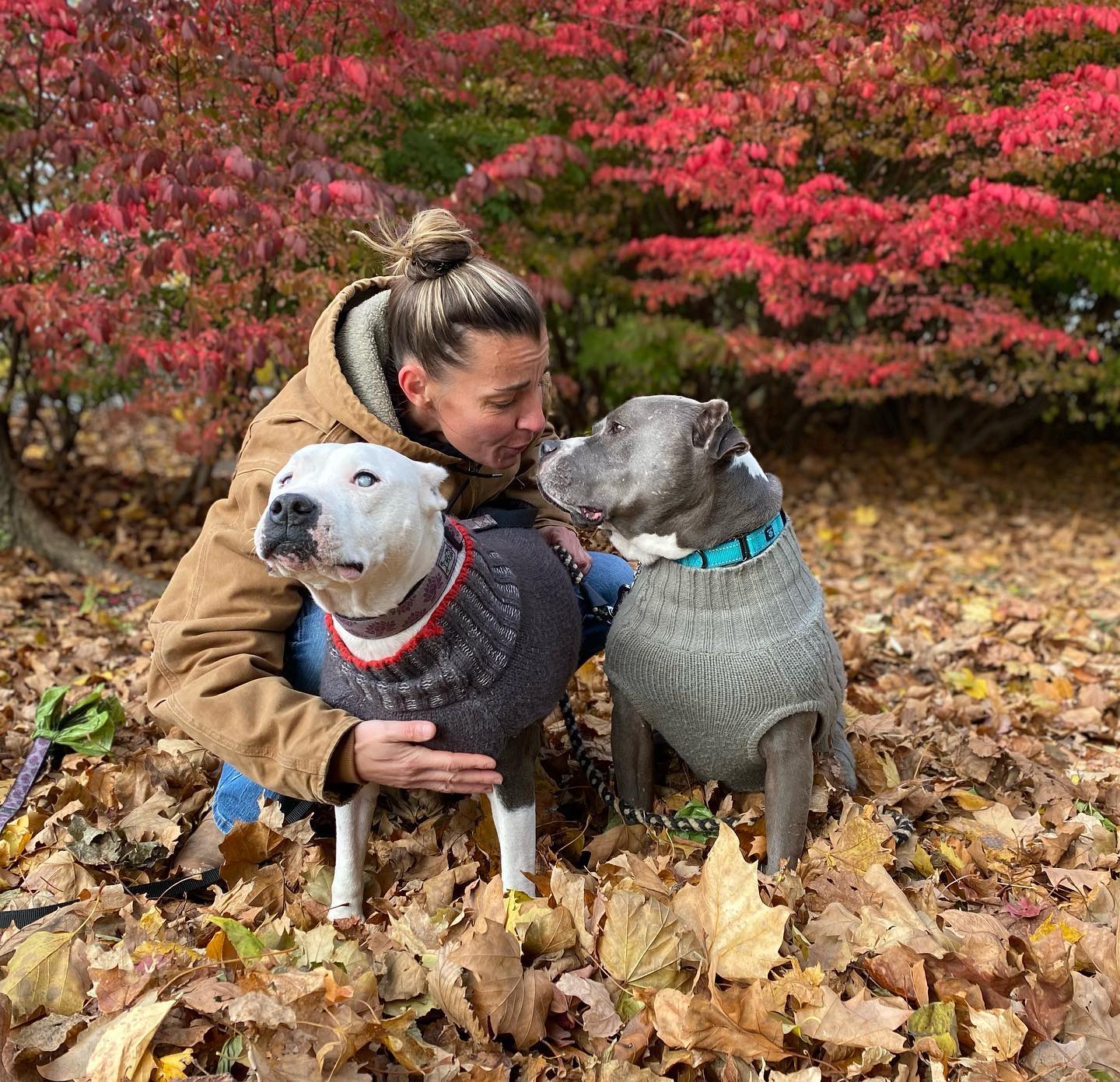 woman and dogs in forest