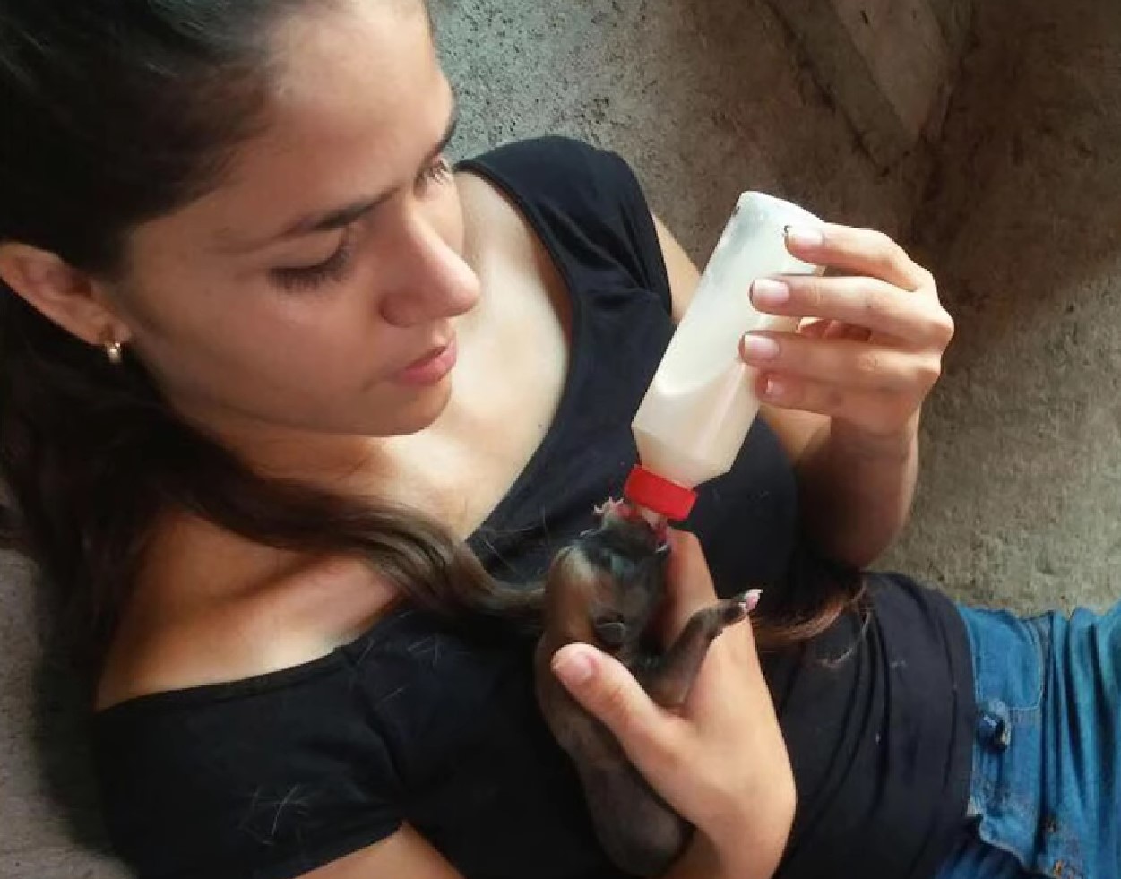 woman feeding puppies