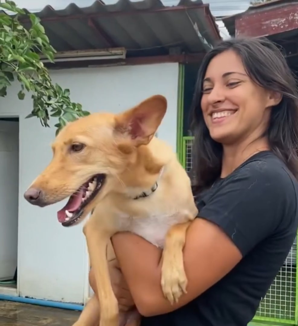 woman holding the dog