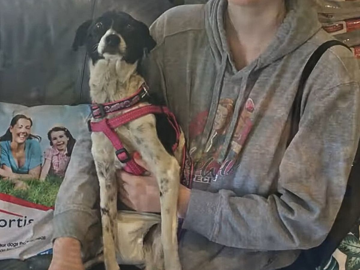 woman holds poor dog