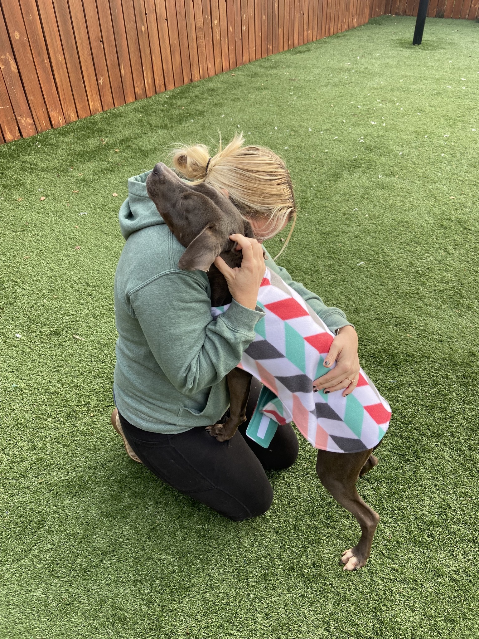 woman hugging the dog