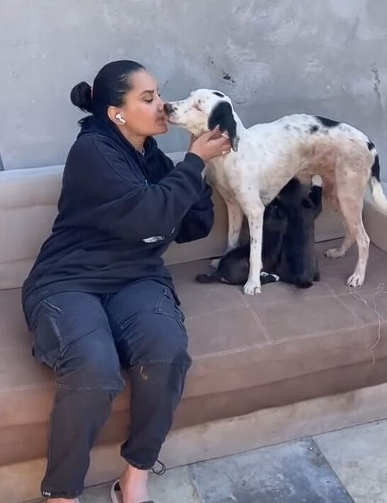 woman kissing a dog