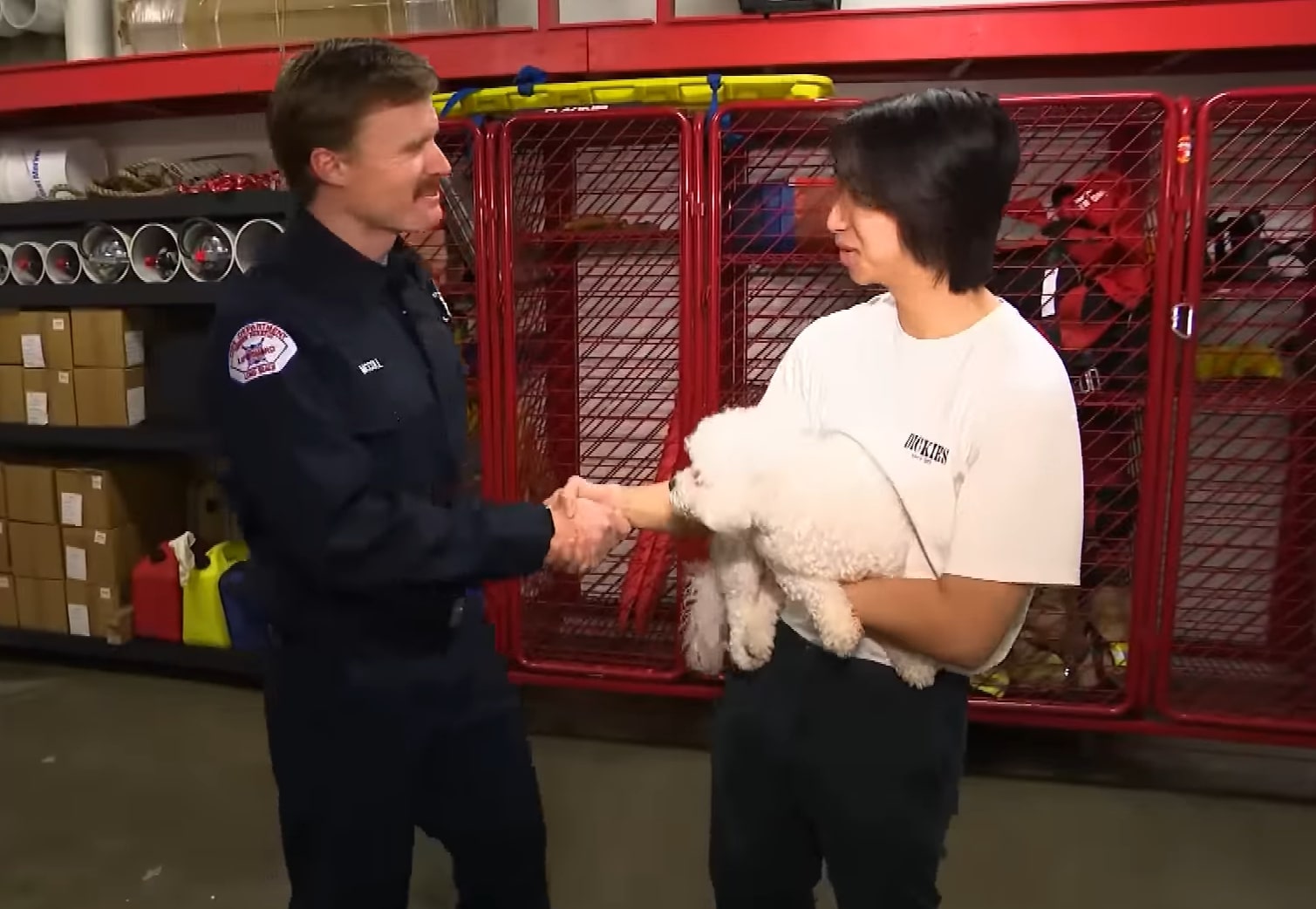 woman shaking man's hand while holding a dog