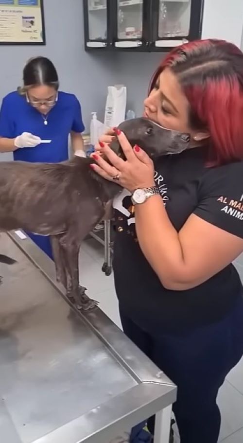 woman snuggles with dog