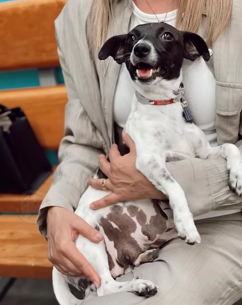 woman with happy dog