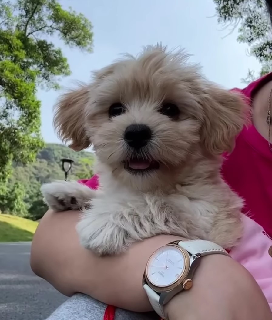 woman with watch holding a dog