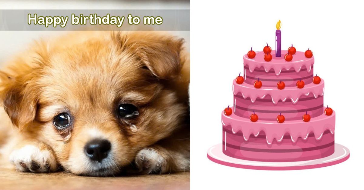 Today is my birthday but I feel so sad because no one remembers it