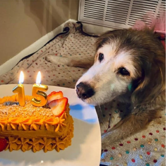 Today is my birthday and this is the first cake I have received in 15 years of living in a shelter