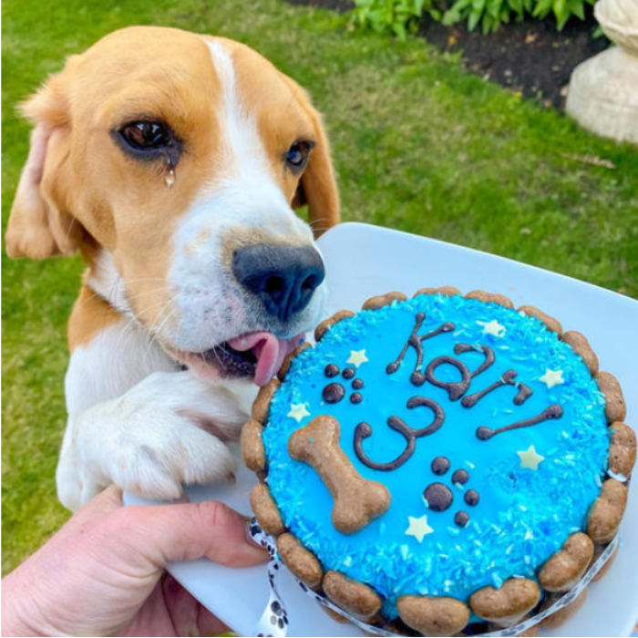 Today is my birthday and this is the first birthday cake I have received from my foster mother after 3 years of living in a shelter