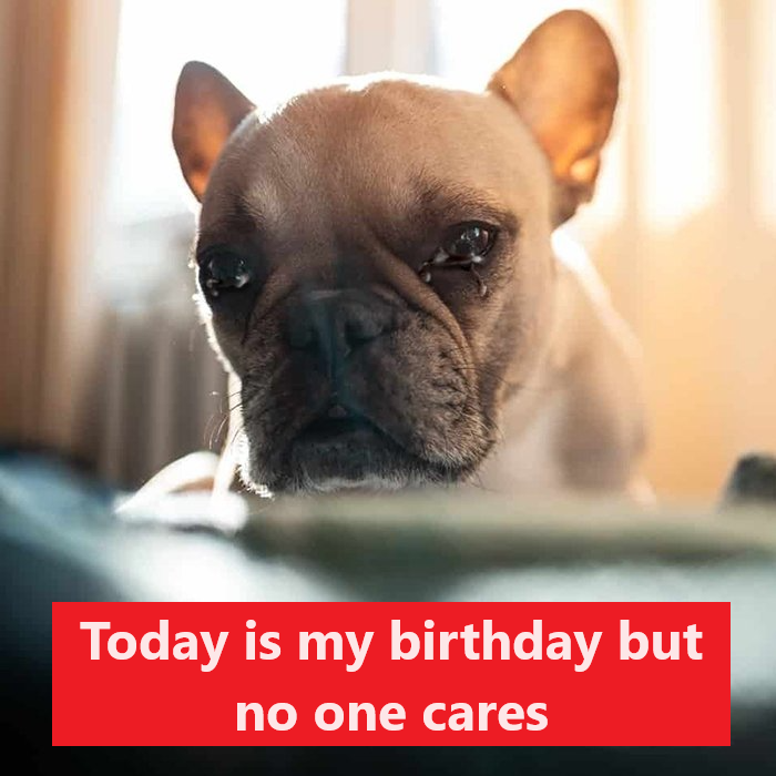 Today is my birthday but no one cares about me