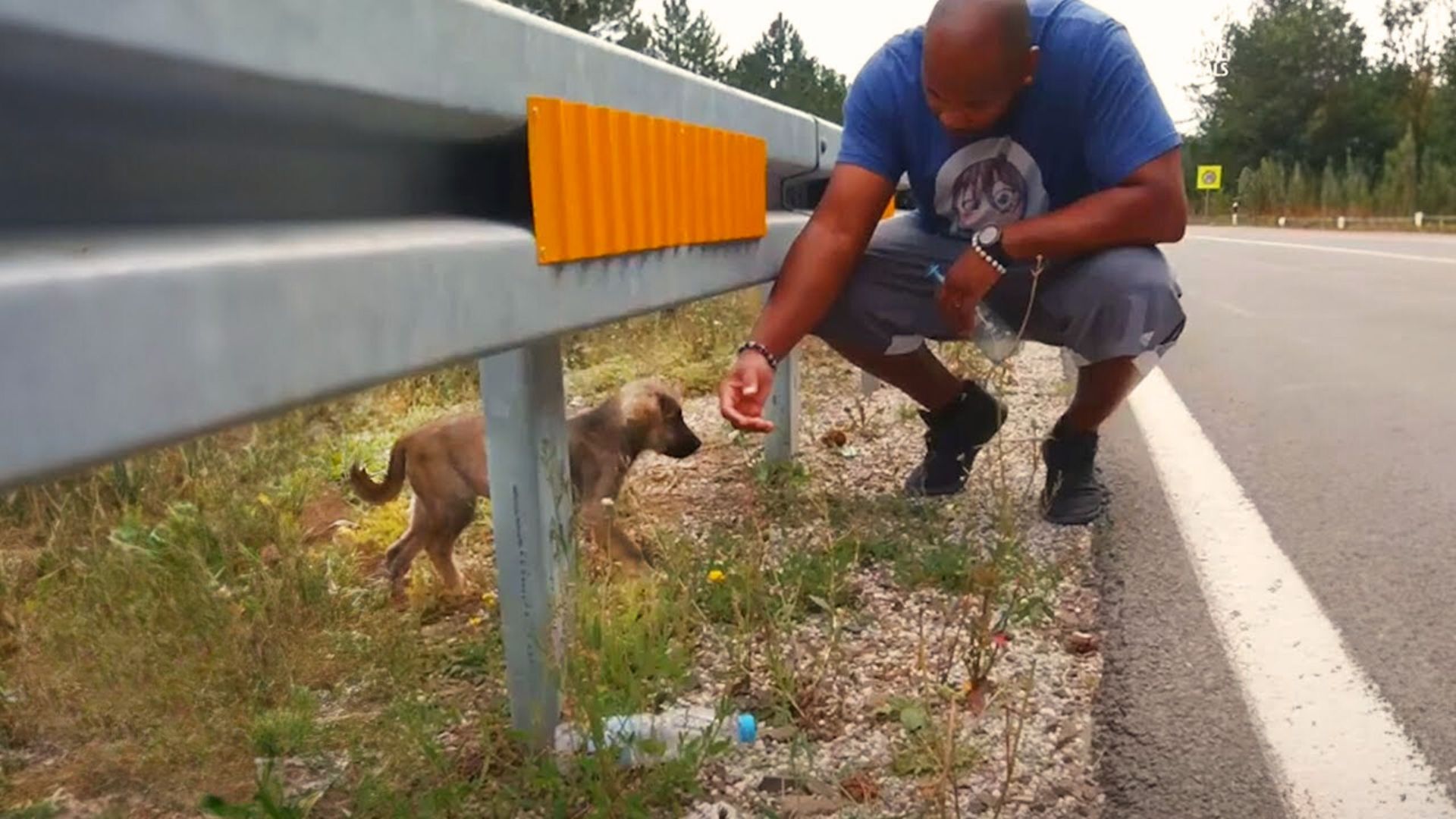 Couple Driving Down The Road Shocked To See A Tiny Creature Running In Front Of Their Car