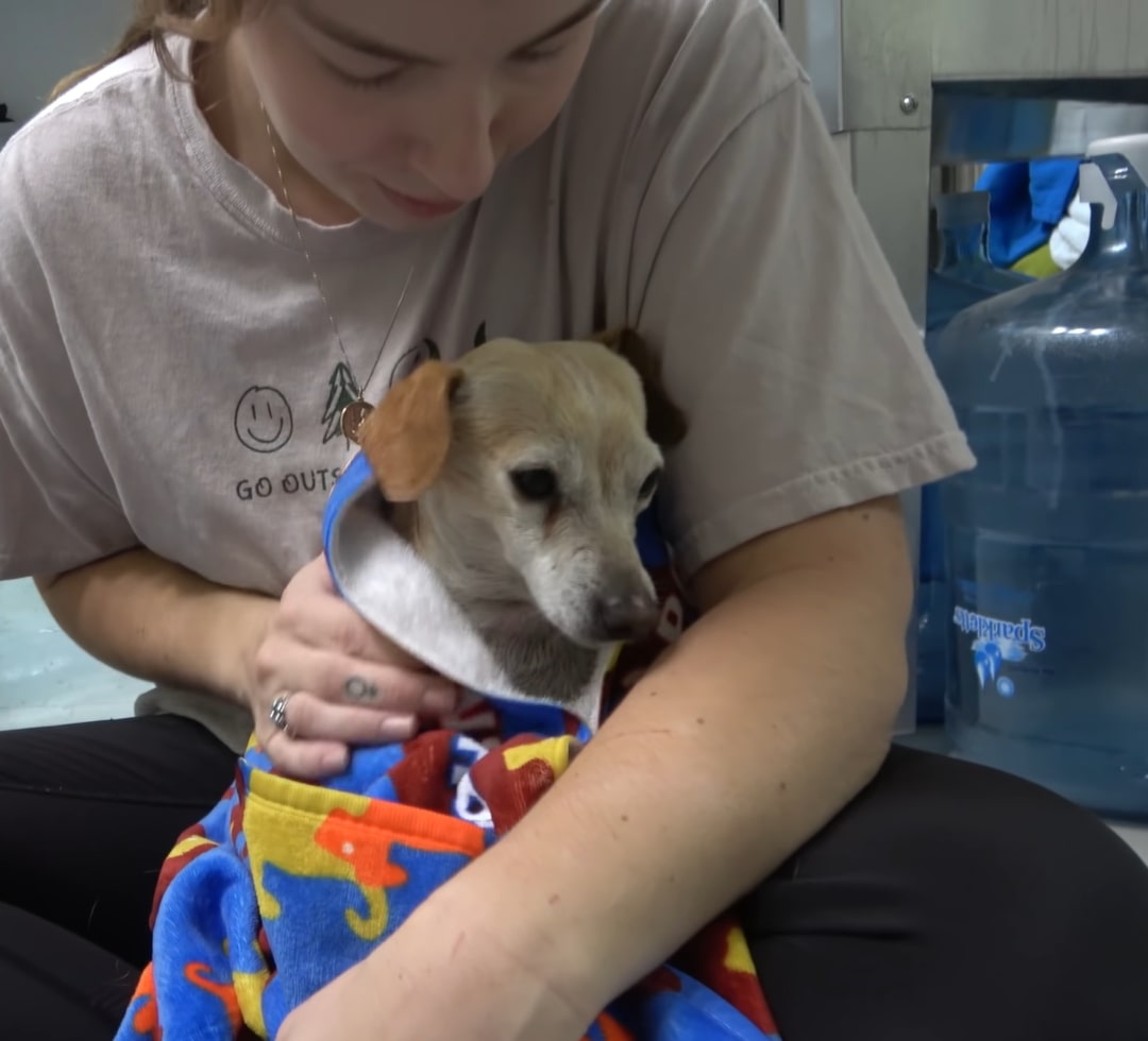 a woman hugs a dog wrapped in a towel