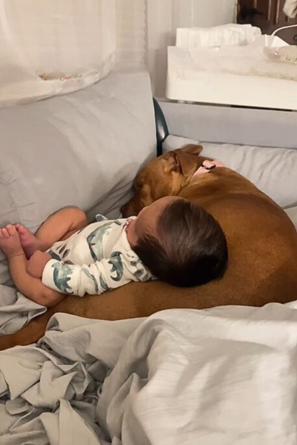 baby and dog sleeping together