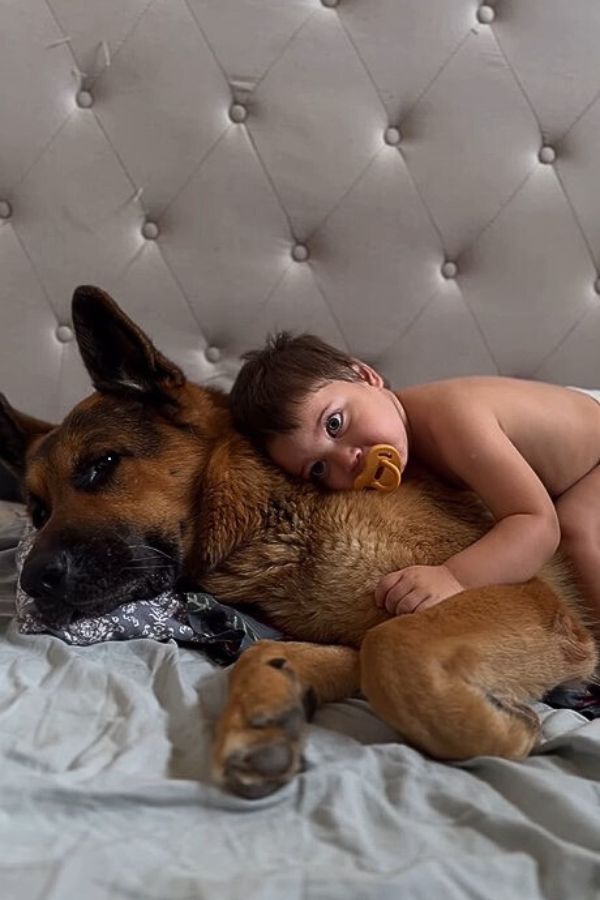 baby laying on a dog