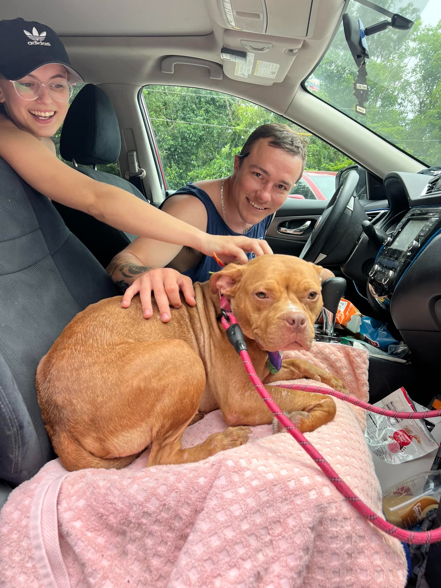 couple and dog in a car