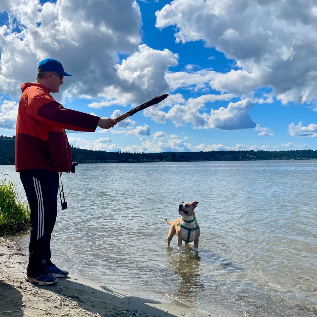 dog and owner playing fetch