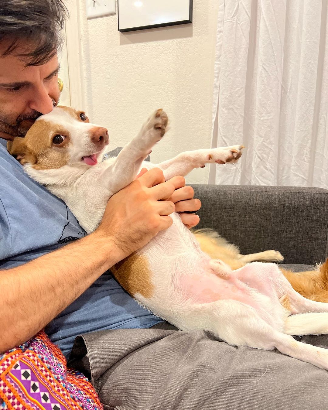 dog laying on a owner