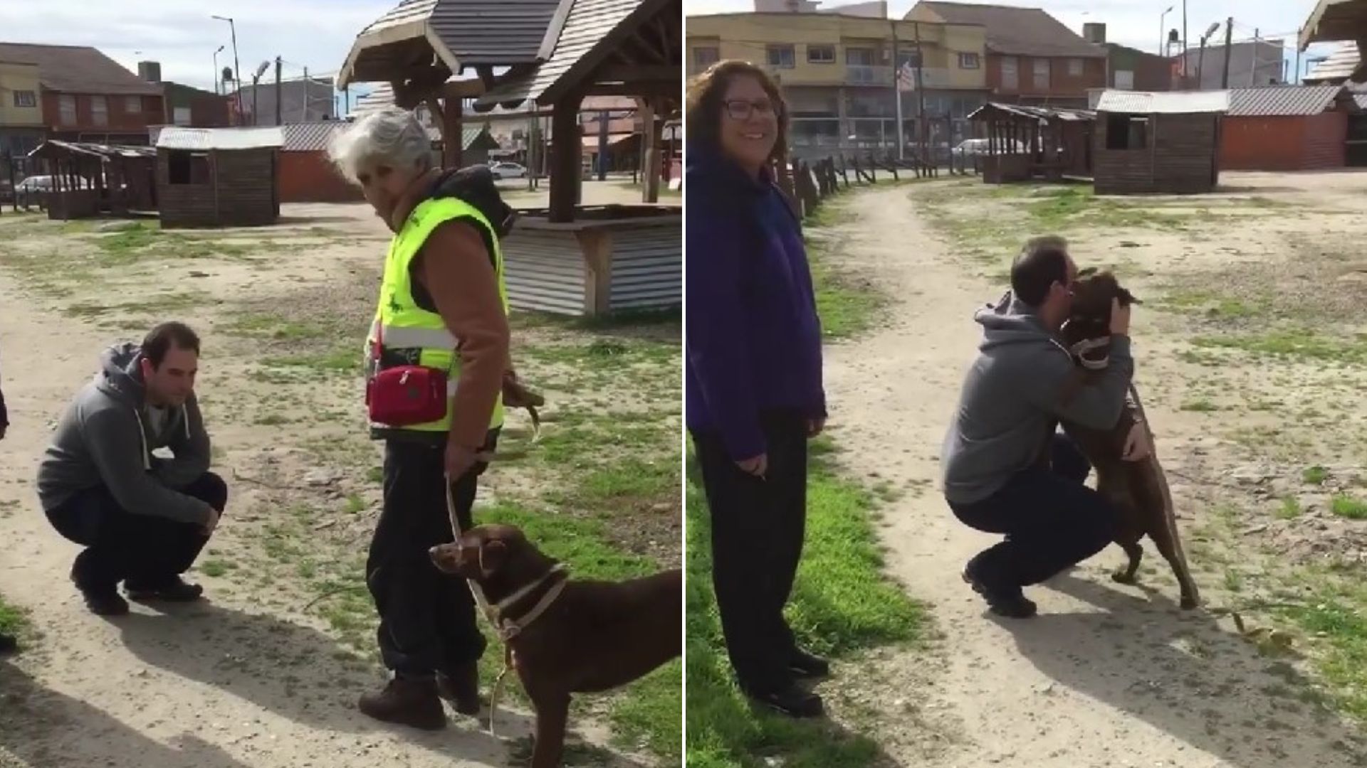 dog surrounded with people