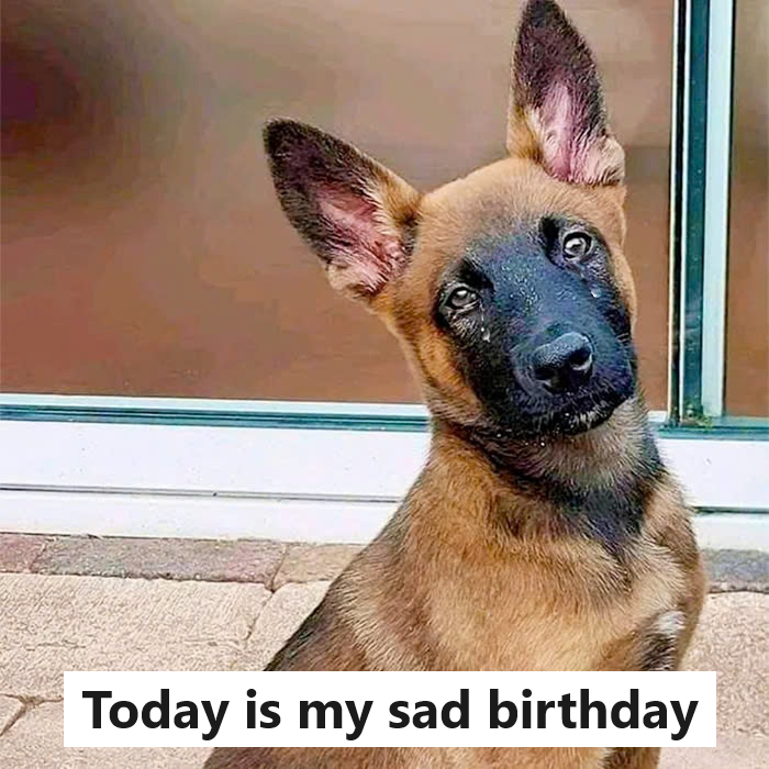 Today is my birthday but I have no cake, no gift and not even a single wish