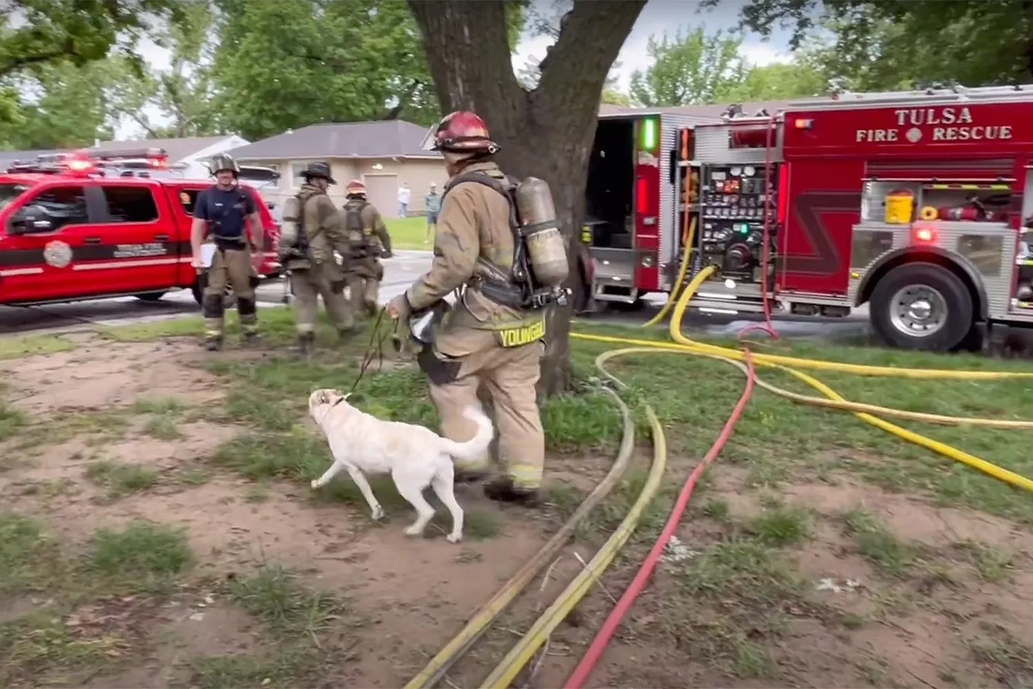 firefighters and dog