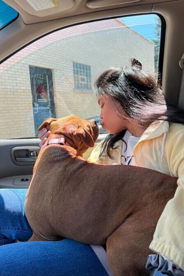 girl and dog in car