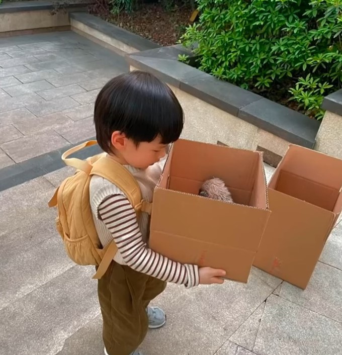 kid holding box with newborn puppy