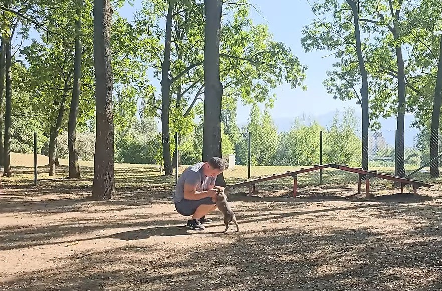 man and puppy in a park