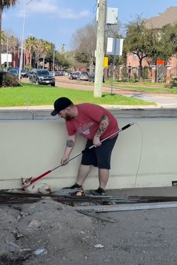 man helping the dog