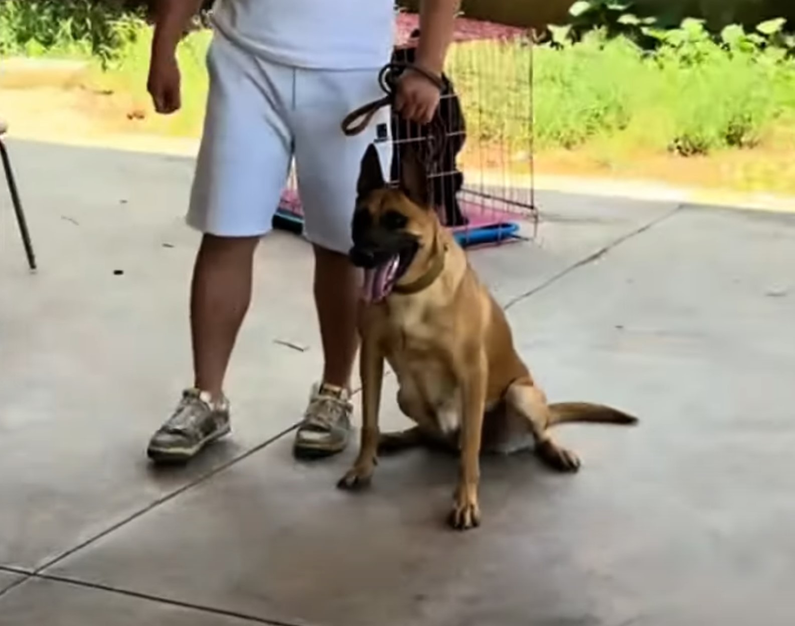 man holding dog on a leash