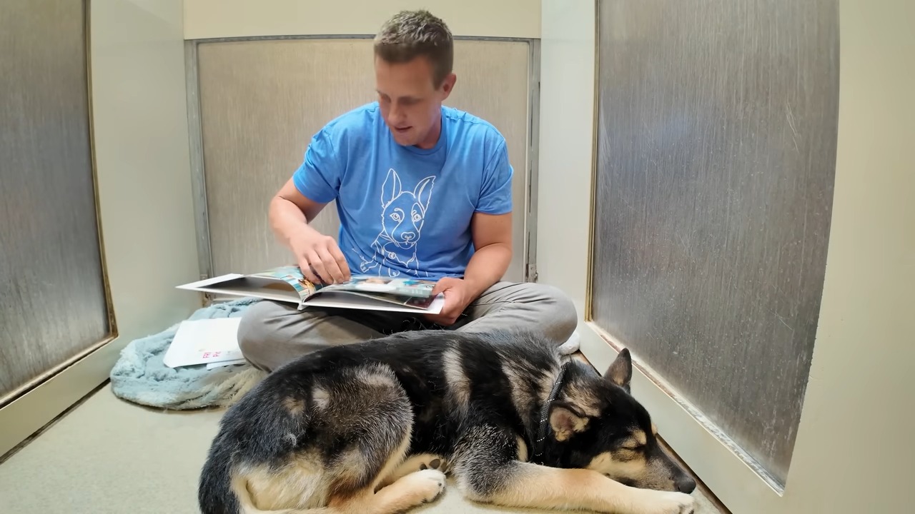 man sitting next to a dog