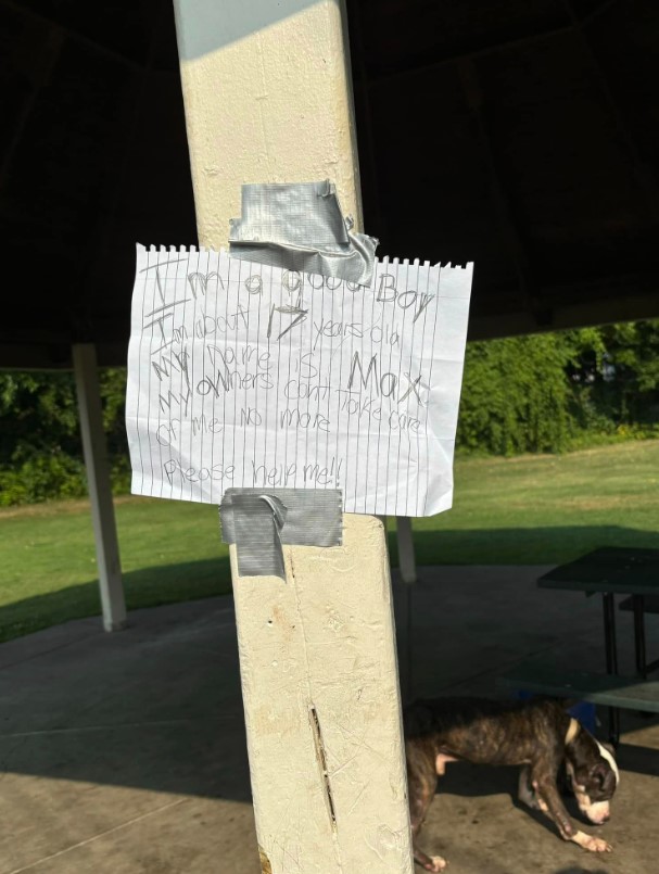 message left for the puppy