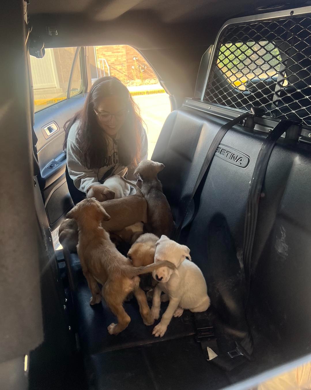 smiling woman with puppies